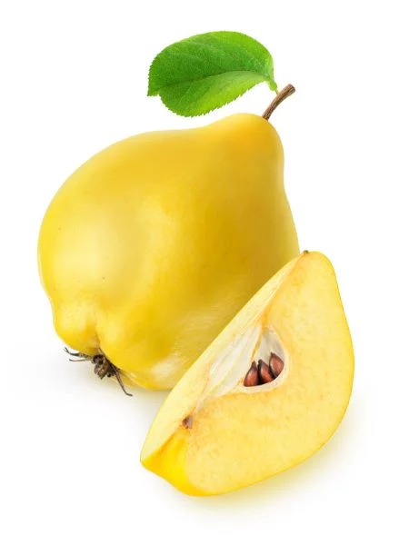 Küdoonia