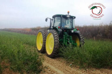 lastepuude tootmine ja jaotamine Poolas