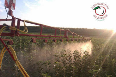 lastepuude tootmine ja jaotamine Poolas