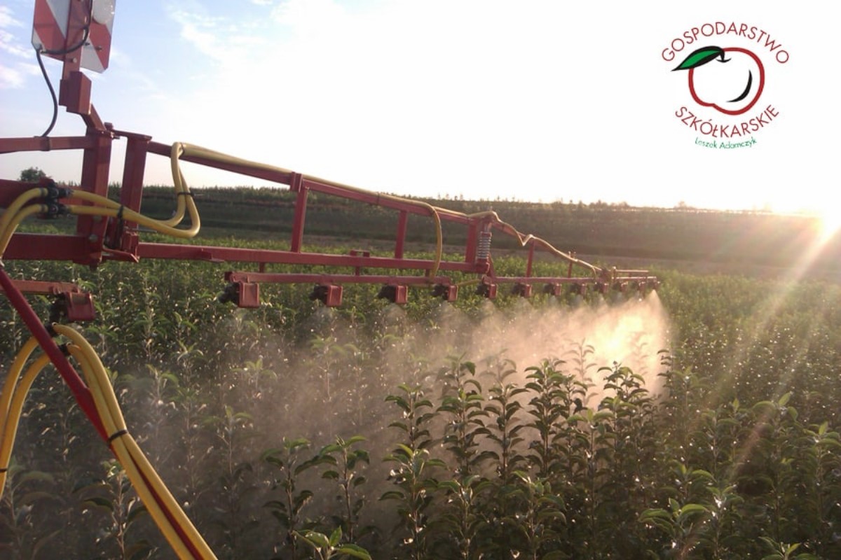 taimematerjal, tootmine ja jaotus Poolas